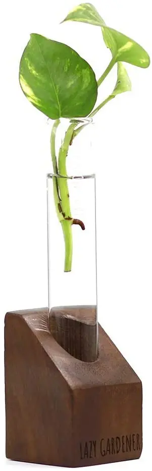  Ленивый садовый стеклянный столешница с деревянной подставкой | Гидропонный плантатор для домашнего декора