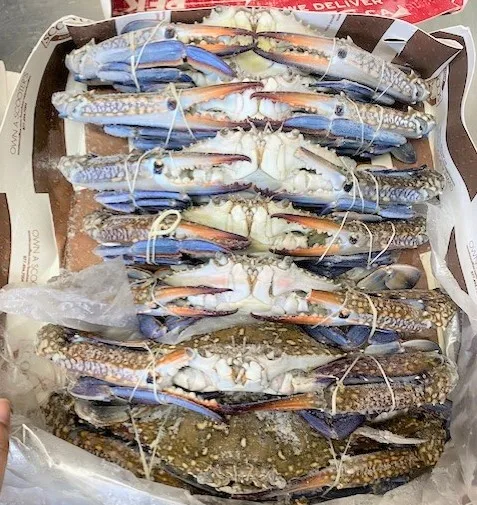 Оптовая продажа вкусные свежие морепродукты с замораживанием взрыва (60-80 г/шт.) IQF 1 кг/коробка полностью замороженный синий плавучий краб