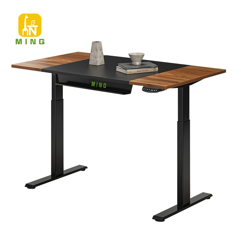 Factory Directly Wooden Office Computer Dual Motor Smart Ergonomic Electric Sit Stand Desk Adjustable Standing Desk