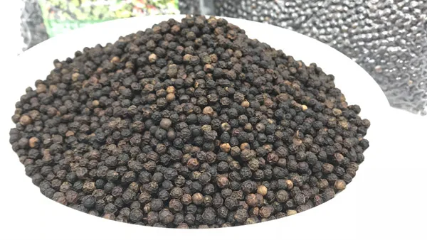 Hot Sale High Grade Quality Best Price Black Pepper From Vietnam