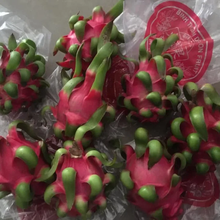 Fresh dragon fruit for exporting with standard quality packaged carefully and the best price shipping to EU US ASIA market