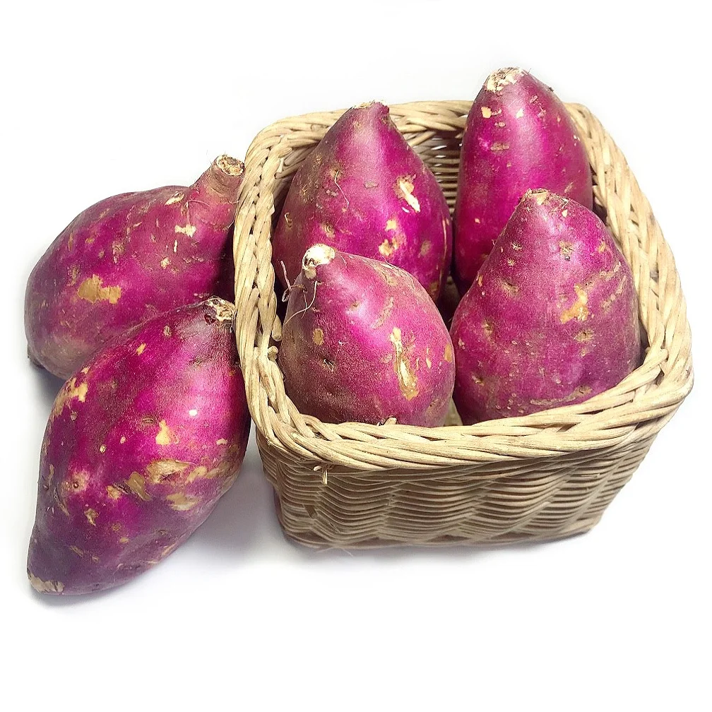 
Fresh Sweet Potatoes from Vietnam 
