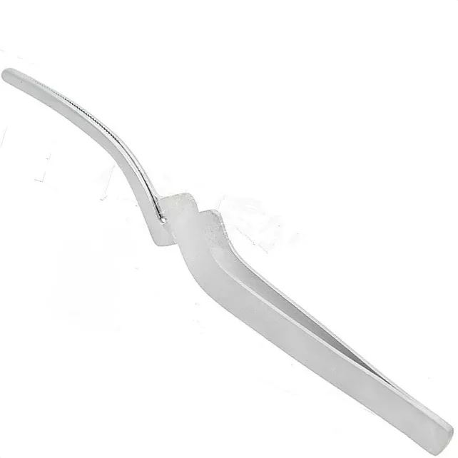 Stainless Steel Curved Dental Articulating Paper Forcep For Holding Articulating Paper By Hospitech Traders