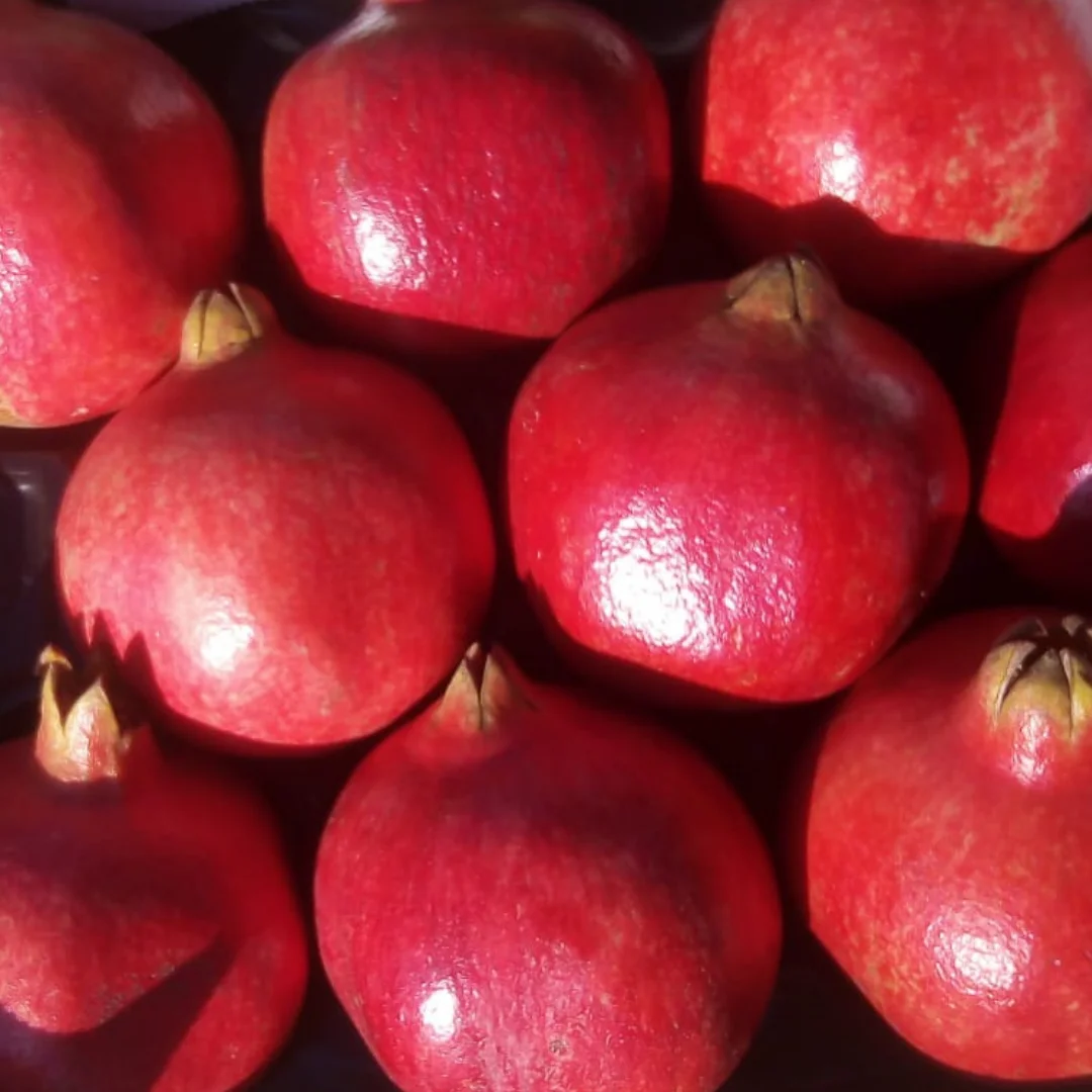 Fresh Red Sweet Pomegranate Organic Origin Tunisia to squeeze
