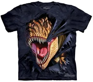 New design 3D Printing Shirts  custom sublimation cartoon graphic women tshirt s