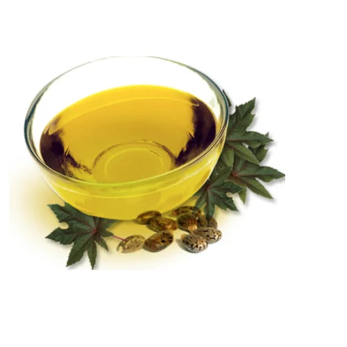 100% Pure and Natural  High Quality Asafetida Spice Essential Oil at Bulk Price