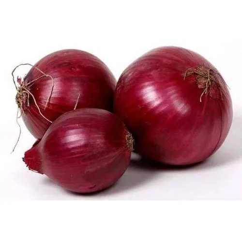 2021 Fresh Onion/Onions Price Ton New Crop