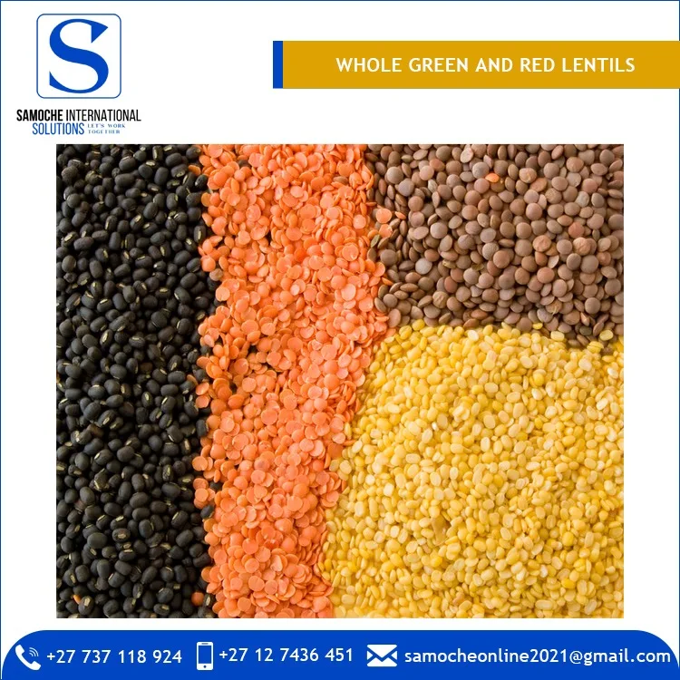 Bulk Dried Whole Green and Red Lentils for Sale