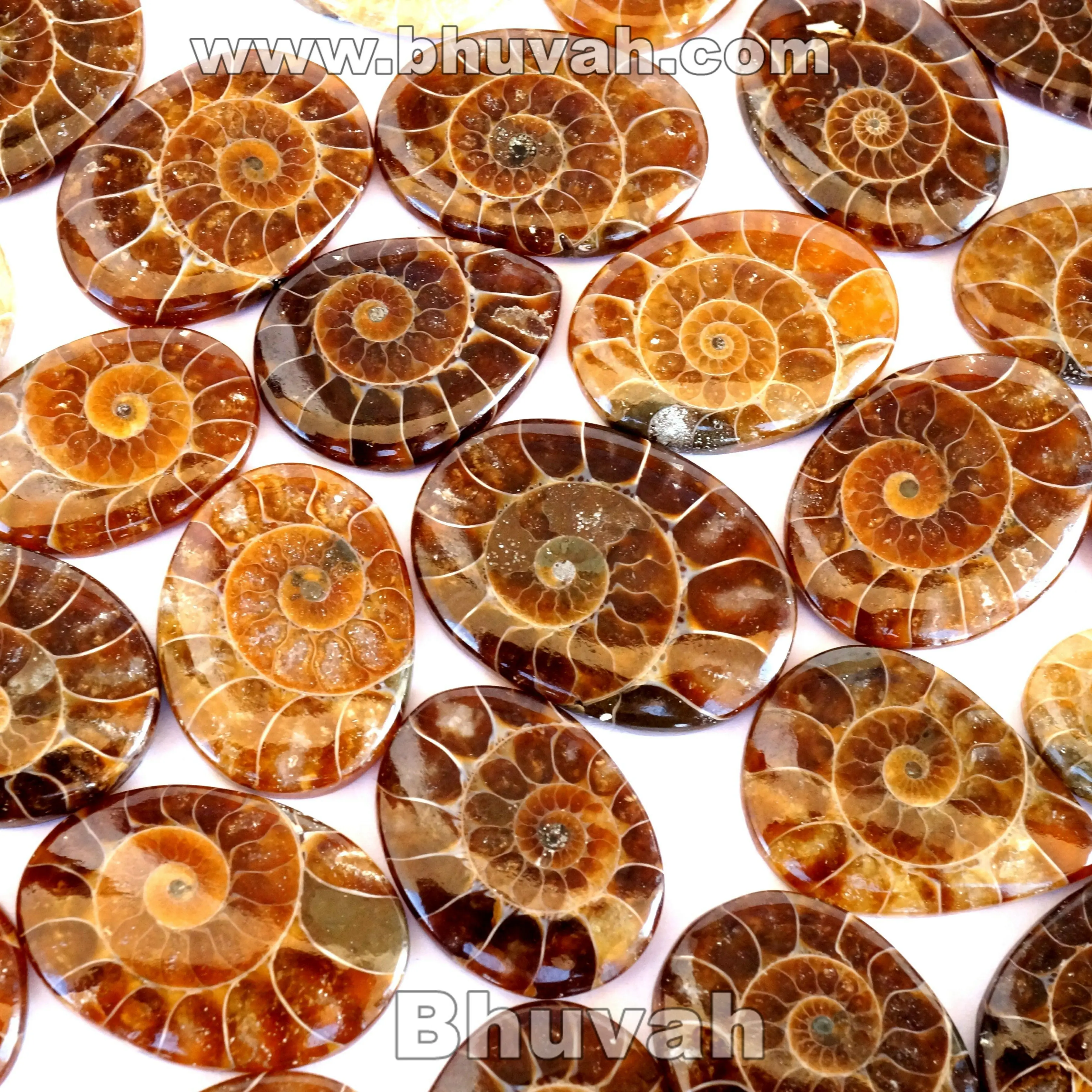 Highest Top Selling Assorted Quality Wholesale Price Bulk Lot Sale Loose Jewelry Gemstone Cabochon Stone Natural Ammonite