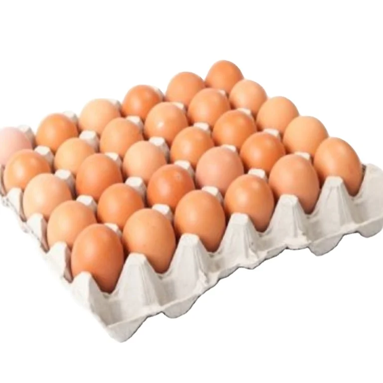Fertile Hatching Chicken Egg/Fresh Chicken Table Eggs