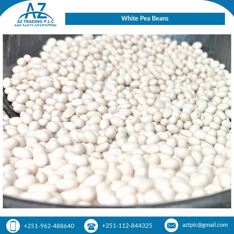 Bulk Supplier of Premium Grade Uniform Bright White Organic White Pea Beans/ Ethiopian Kidney Beans