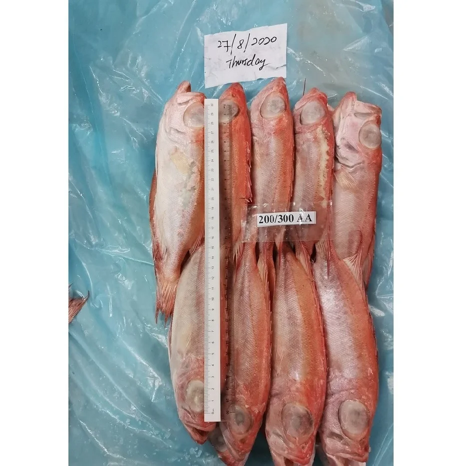 Натуральный красный цвет, замороженные круглые рыбы с большими глазами с максимальной влажностью 0.05% из малайзии