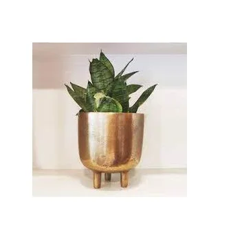 Copper Colored Simple Design Iron Planter For Garden Decor Green Plant Design Shiny Finishing Decor Colored Design