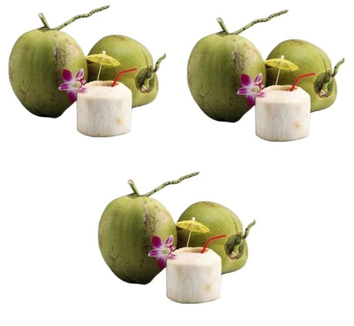 
Wholesale Healthy Drinking Young and Fresh Coconut Fruit from With Weight 900 to 1.200 g 