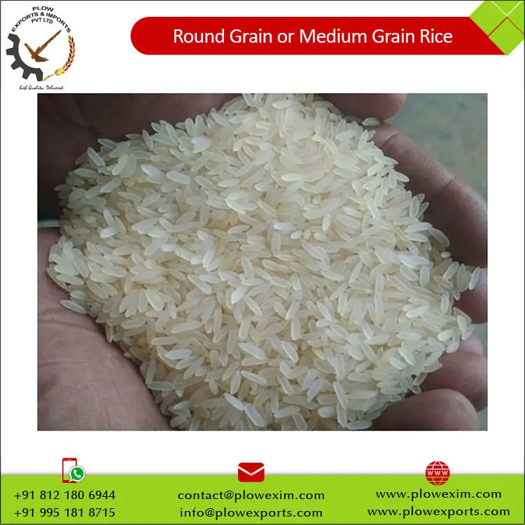 Round Grain or Medium Grain Raw Rice 5% Broken Round Rice Bulk Supply from India