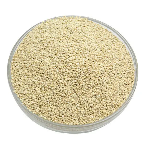 Organic Farm Rye Grains