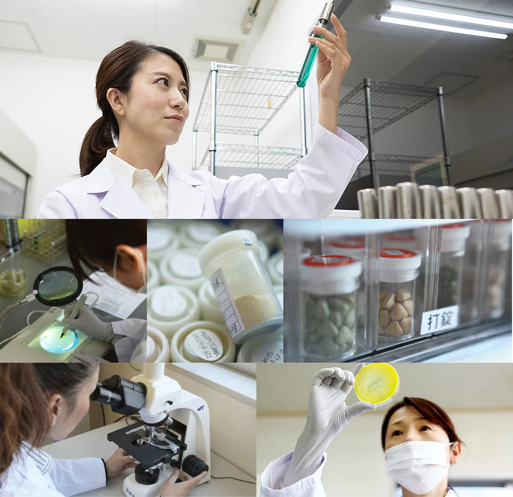 
NMN Supplement Made In Japan, B-Nicotinamide Mononucleotide, 240mg/capsule (90 capsules per a box) 