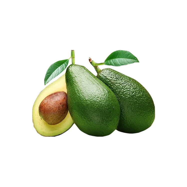 
FRESH AVOCADO with HIGH QUALITY and BEST PRICE 2021 