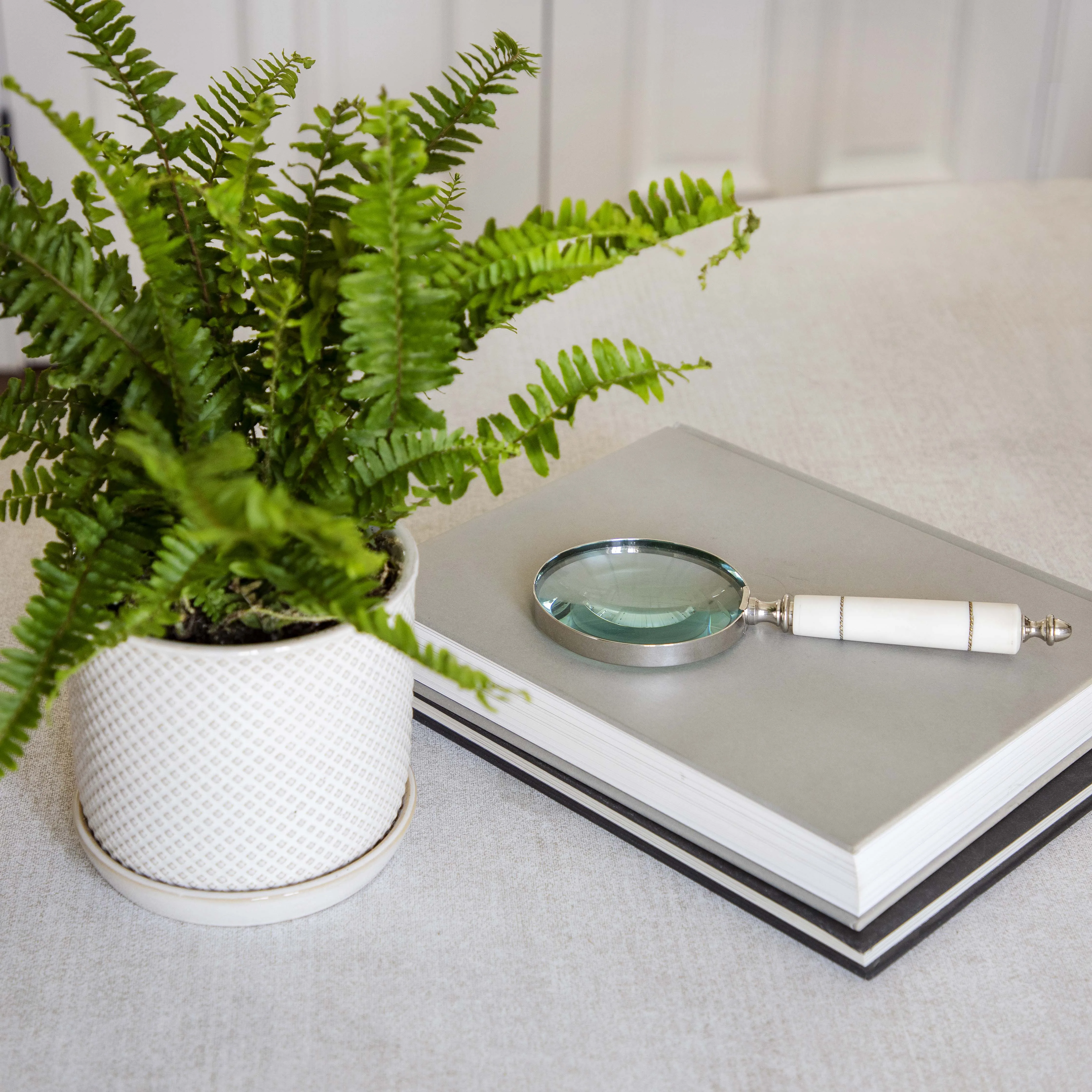 Sagebrook Home Resin 4 Inch Magnifying Glass Ivory High Quality Product Wholesale Supplier