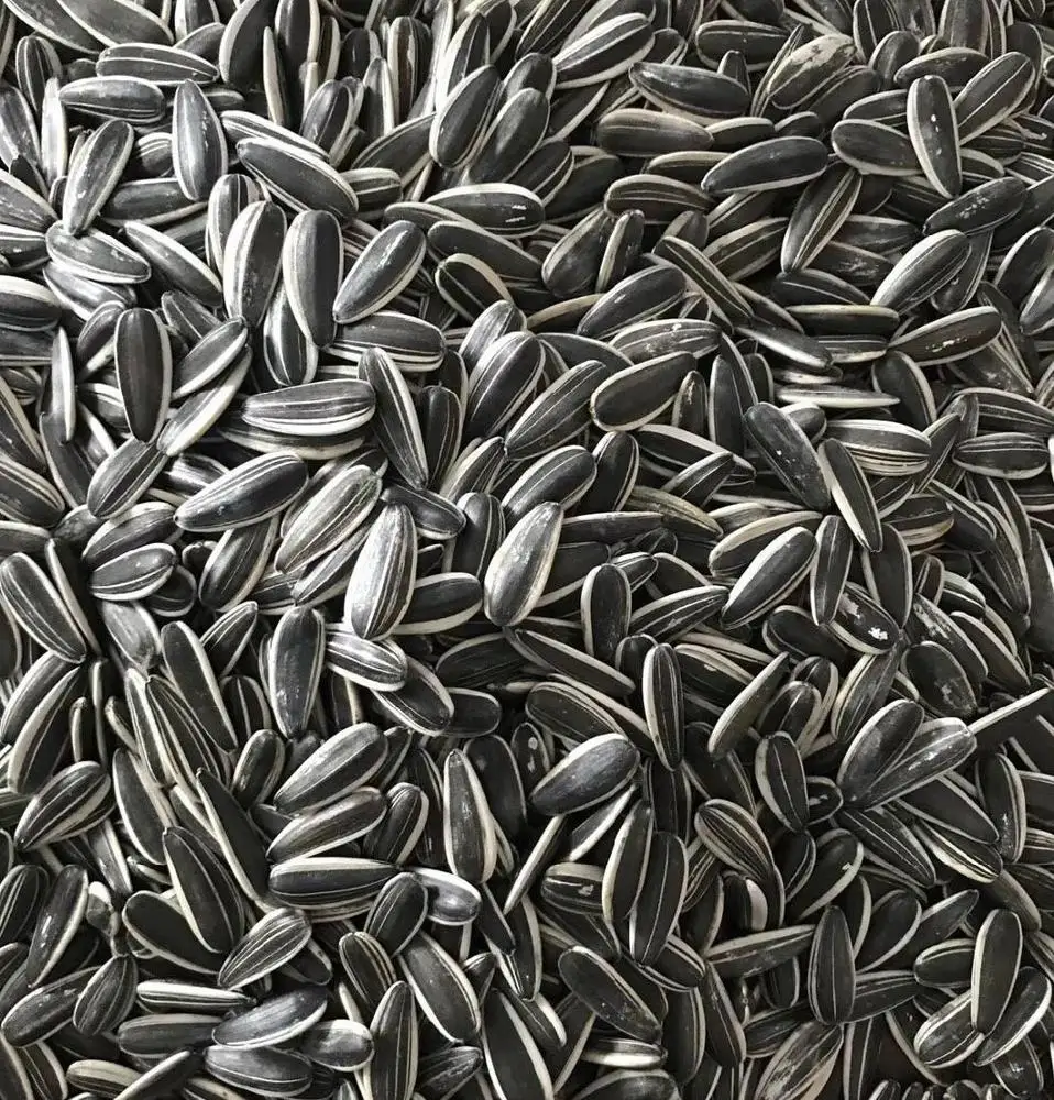 Поставщик ядер семян черного подсолнечника Длинная форма 99.9% мин 10% макс