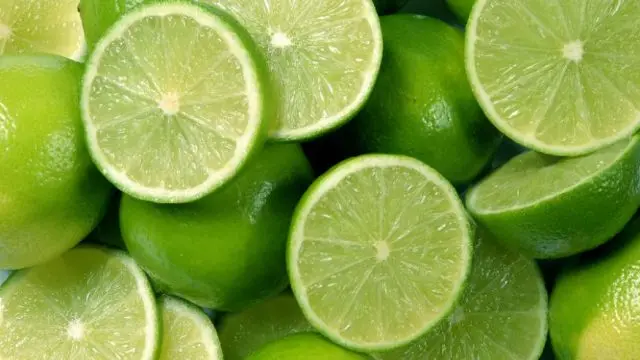 BEST PRICE FRESH LEMON/SEEDLESS LEMONS FROM VIETNAM/ Vivian Ha N+84 33 88 20 462