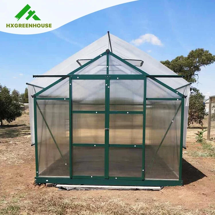 Climate Control Screen High Quality Diy Winter Garden Greenhouses Single-span Agricultural Greenhouses Green Powder Coated 6mm