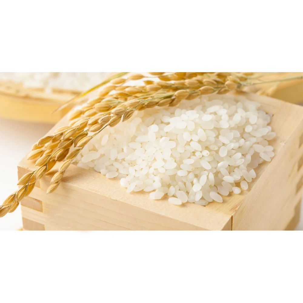Wholesale Premium Quality Short-Grain Rice White Color Japonica Rice Vietnam Best Supplier