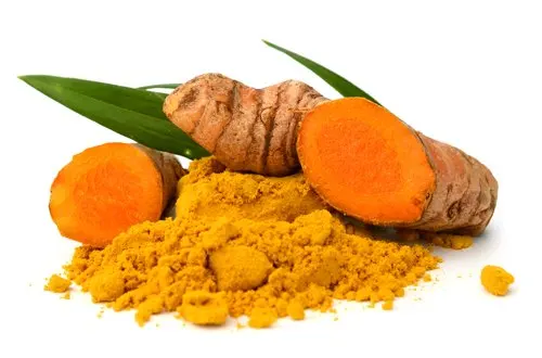 Bulk Quantity Curcumin Turmeric Powder supplier