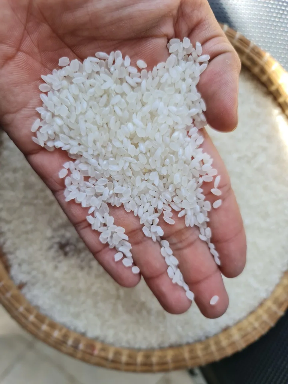 
GOOD PRICE CALROSE RICE Whatsapp +84972678053 