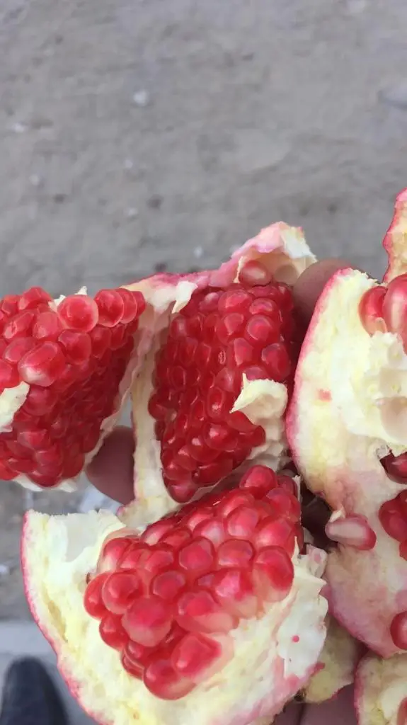 Pomegranates/ Fresh Pomegranates