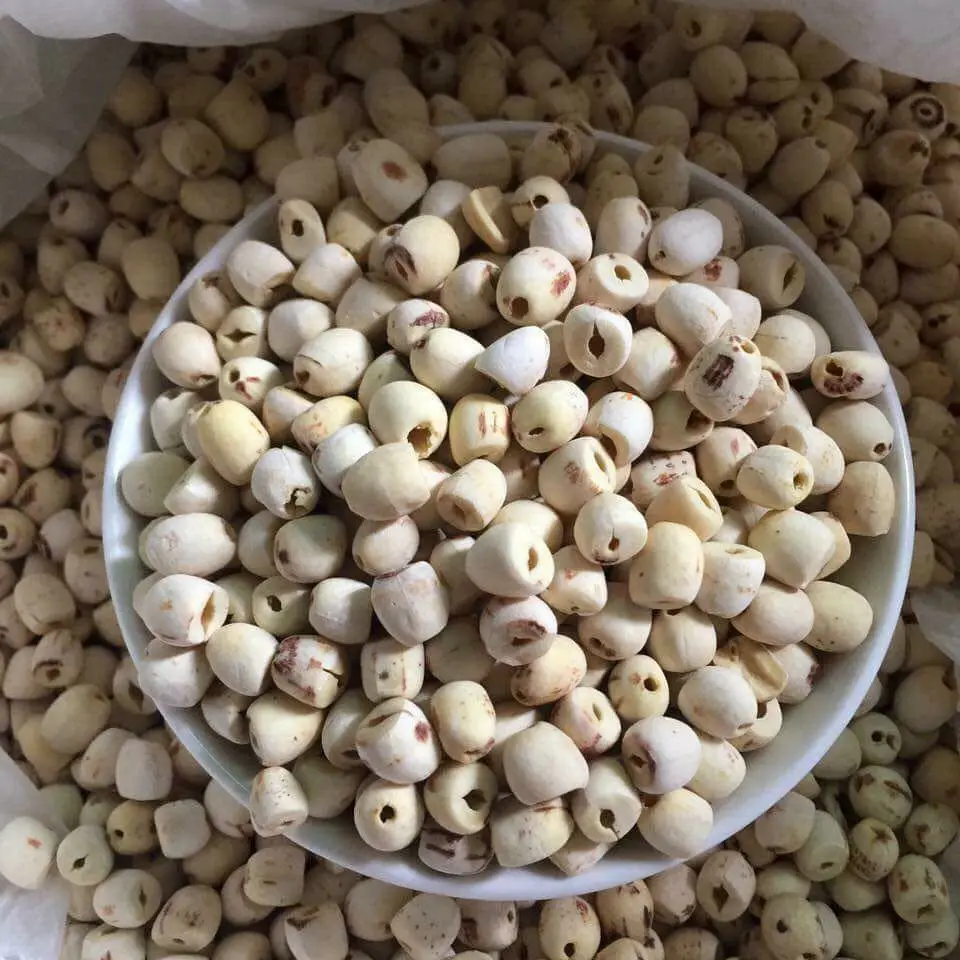 Dried White Lotus Seed Best Price 2020