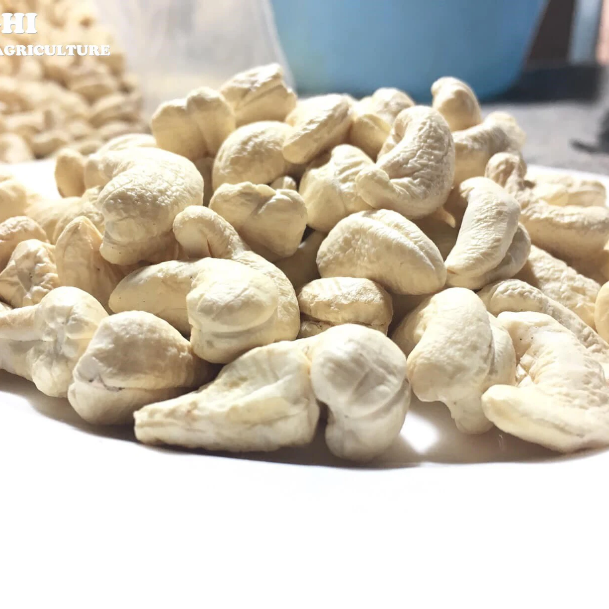 Cheapest Cashew Nuts Export For Wholesale From Vietnam (W180 W240 W320 W450) / Contact for more - W450