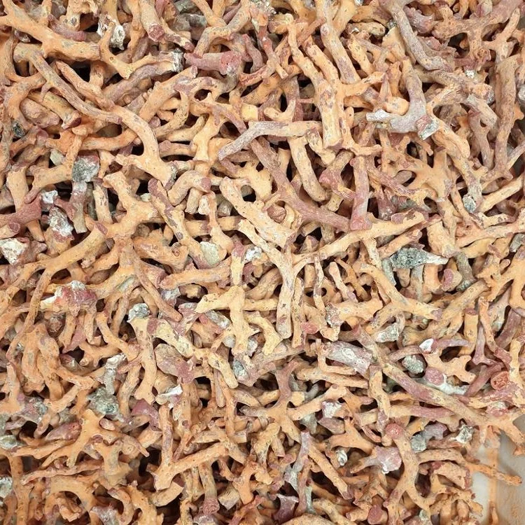 
Good Quality Rough Branch Natural Red Italian Coral 