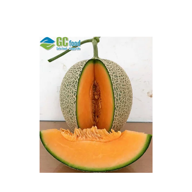 Оптовая Продажа Свежий сладкий Дыня дыни сладкие Органические свежие фрукты из Вьетнама Цена FOB: Получите ла