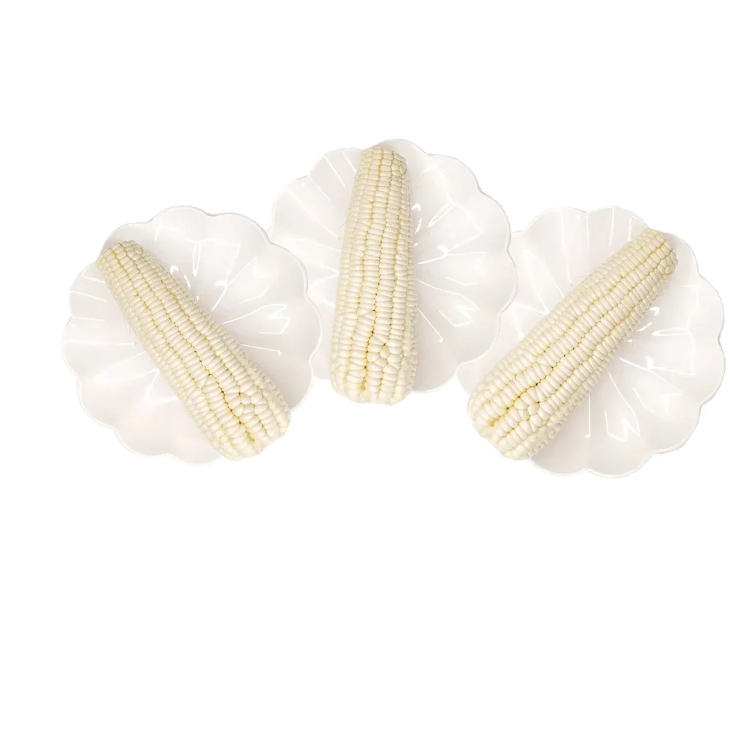 High-quality Frozen Dried Super Dried Yellow Sweet Corn for Sale