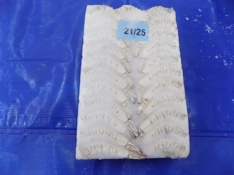 HLSO Frozen Vannamei Shrimps