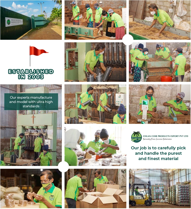 Sri Lanka Origin 100% Natural Coconut Coir Fiber Weed Control Mat for  Agricultural Lands and Greenhouses