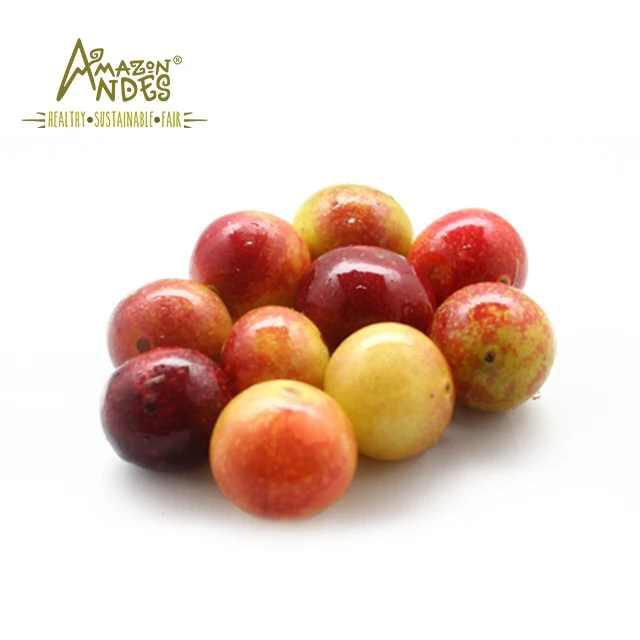 Manufacturer Of Camu Camu Pulp Powder With Huge Benefits From Peru