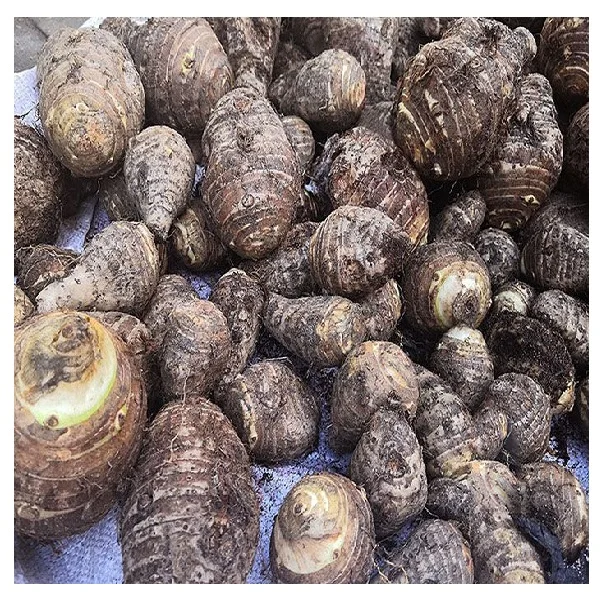  Высокое качество свежий Таро во Вьетнаме