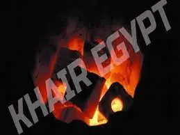 TOP Exclusive HARDWOOD BBQ CHARCOAL---Low Price of High Quality