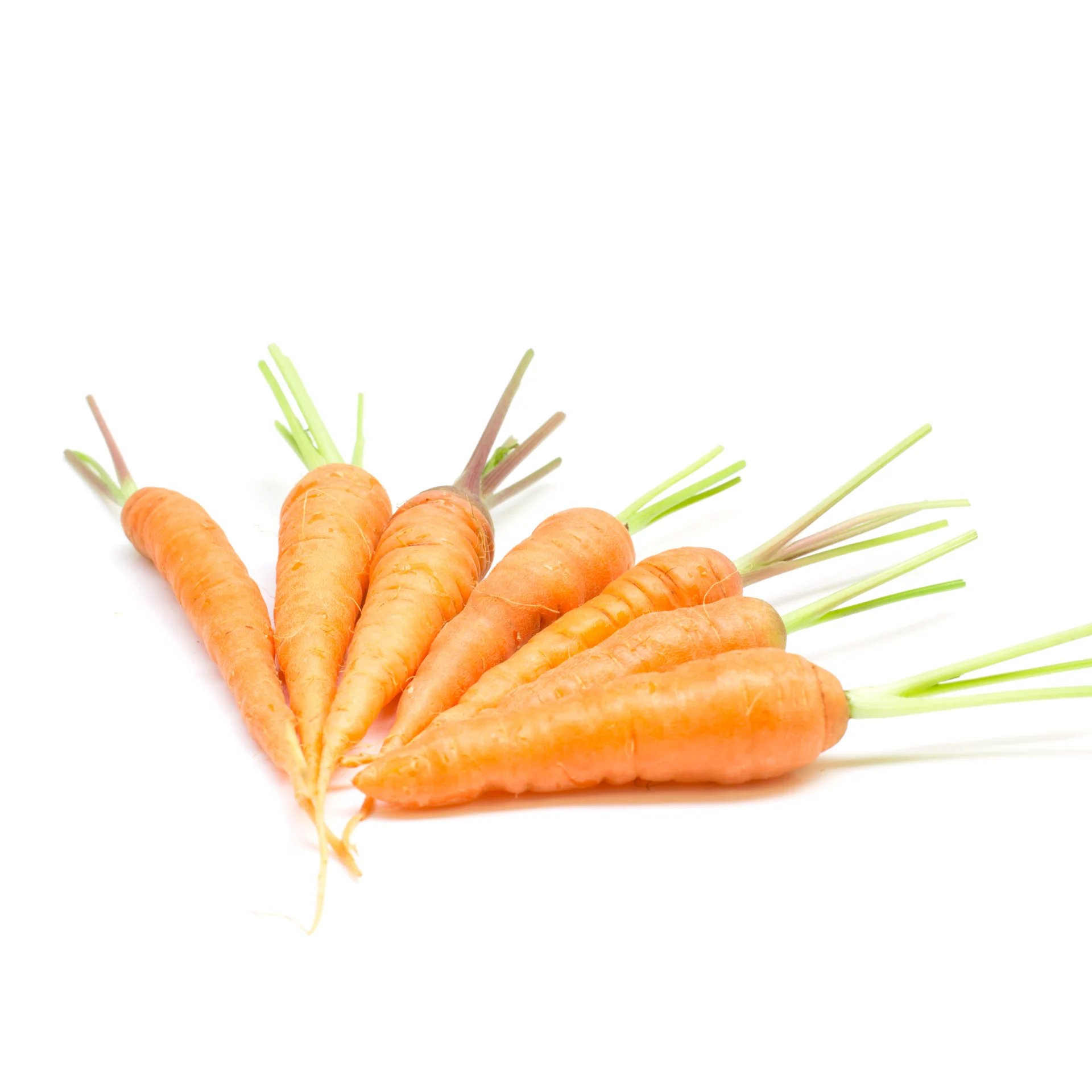 Детская морковка-высокое качество