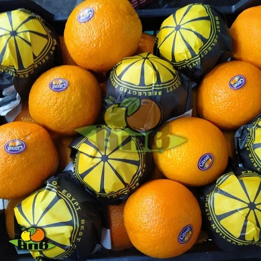 
fresh Egyptian red onion 