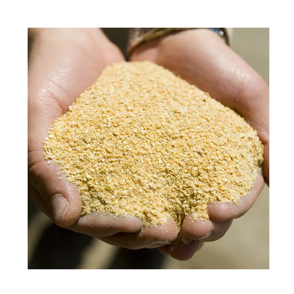 Hot Sale Protein 60% - 70% Soya Bean Meal for Animal Feed, Blood Meal, Fish Meal