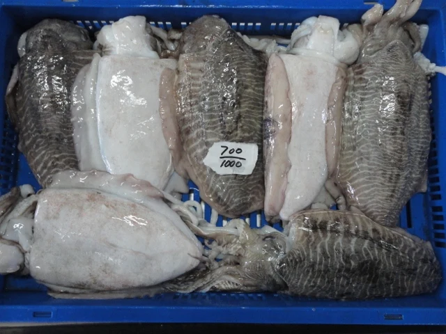  Замороженная гребешка целая