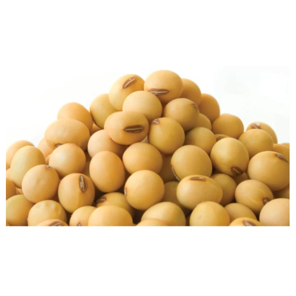 Wholesale Soybean Seeds Non GMO Soybean Seed Price Natural Organic Soybeans Price for Sale