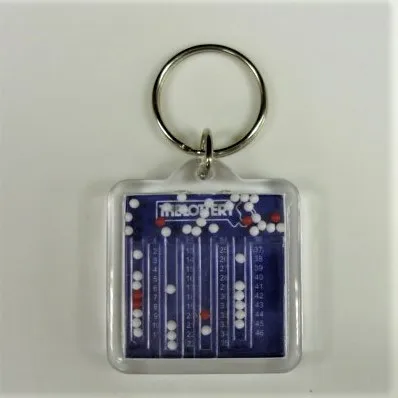 Wholesales STARWOOD lotto lottery Acrylic plastic Keychain #E1326 key fob holder 649 promotional Ball game