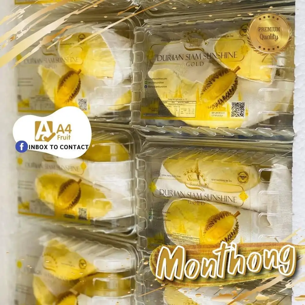 Premium Quality Fresh durians durian frozen durian from Thailand Tropical Style Thai