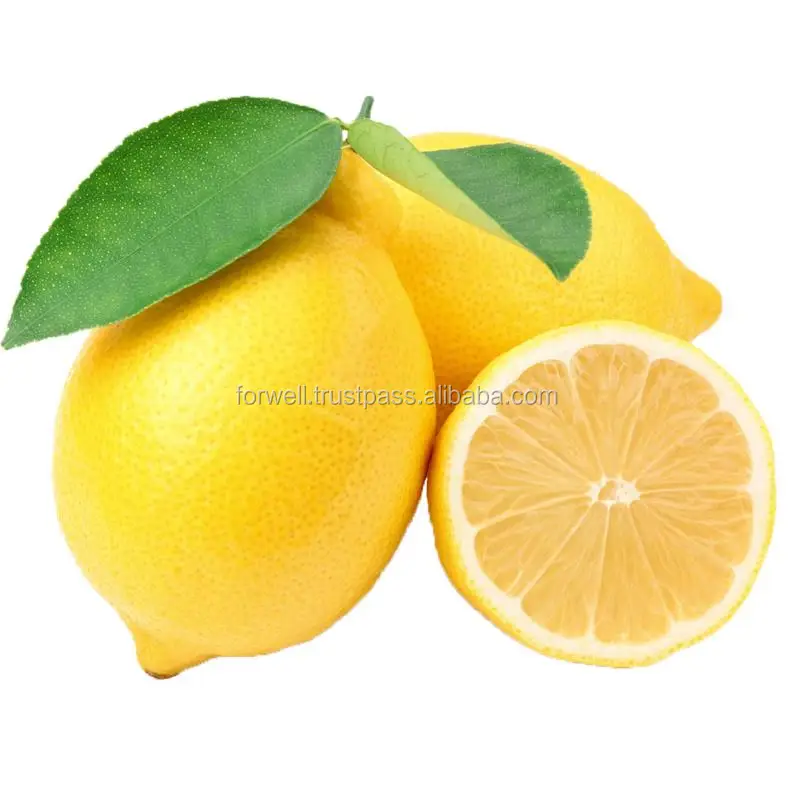 COMMON EGYPTIAN LEMONS  ( Adalia - Verna - green lime ) BIG SIZE LEMONS IN EGYPT