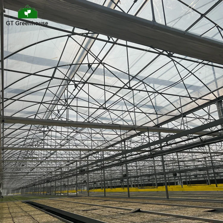 Low Cost Passive Solar Light Deprivation Cooling System Multi-span Tomato Greenhouses