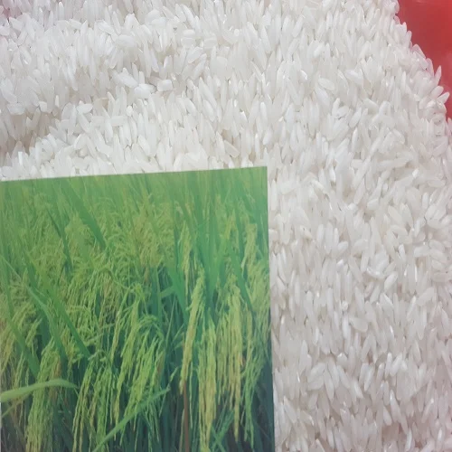 HIGH QUALITY VIETNAM LONG GRAIN RICE 5% BROKEN